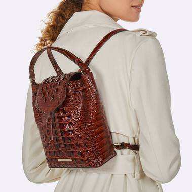 New Versatile Handbag For Fall With Brahmin