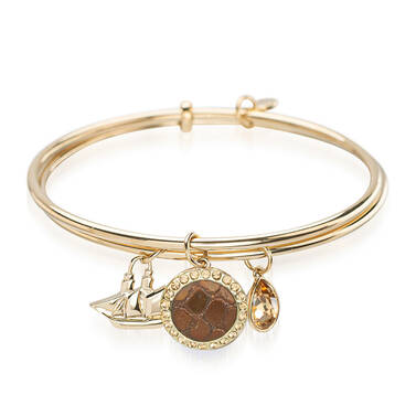 Double Crystal Charm Bangle Bronze Fairhaven Front