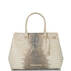 Finley Carryall Ivory Iguana Ombre Melbourne Front