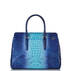 Finley Carryall Affinity Ombre Melbourne Back