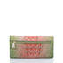 Ady Wallet Watermelon Ombre Melbourne Back