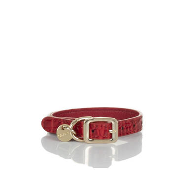 Small Pet Collar Carnation Melbourne Front