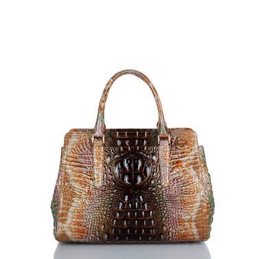 Small Finley Truffle Python Ombre Melbourne Back