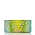 Ady Wallet Zesty Green Ombre Melbourne Front