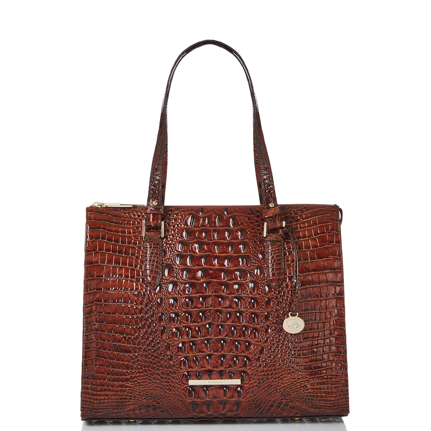 Brahmin Anywhere Melbourne Embossed Leather Tote In Pecan